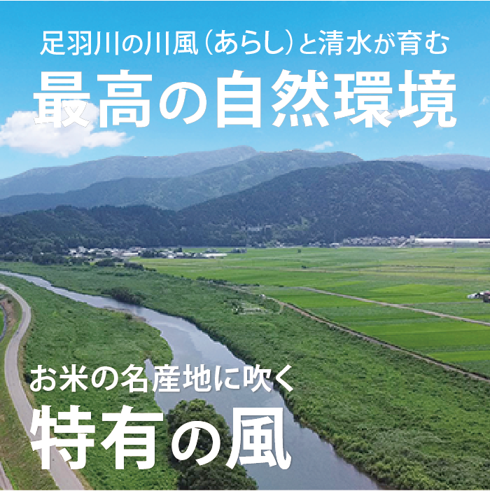 特別栽培米コシヒカリ（農薬70％以上カット・有機適合肥料使用）